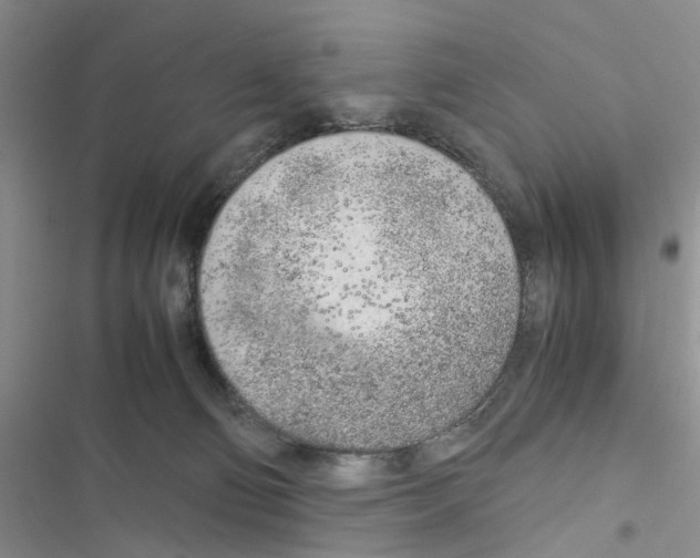 X0000116620130201001221348