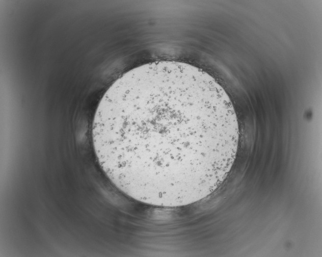 X0000116620134201001221348