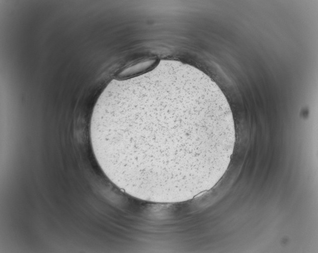 X0000116620136201001221348