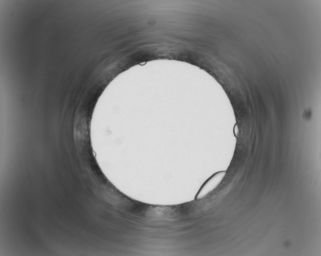 X0000116620137201001221348