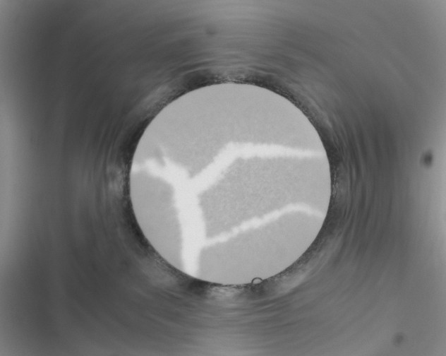 X0000116620139201001221347
