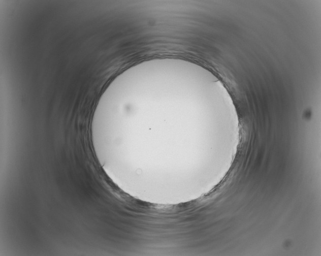 X0000116620141201001221347