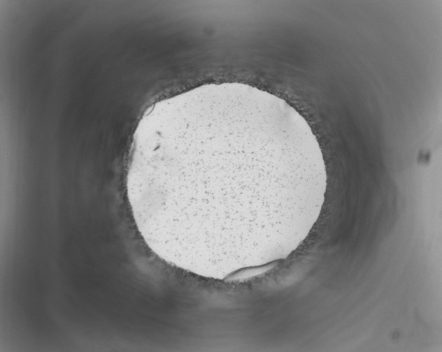 X0000116620144201001221347