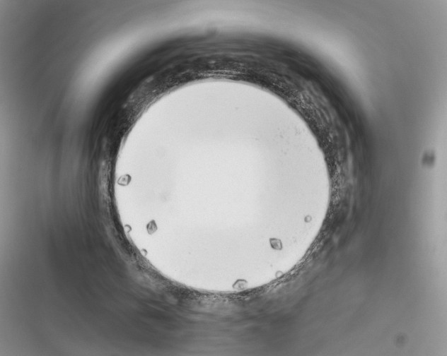 X0000116620146201001221347