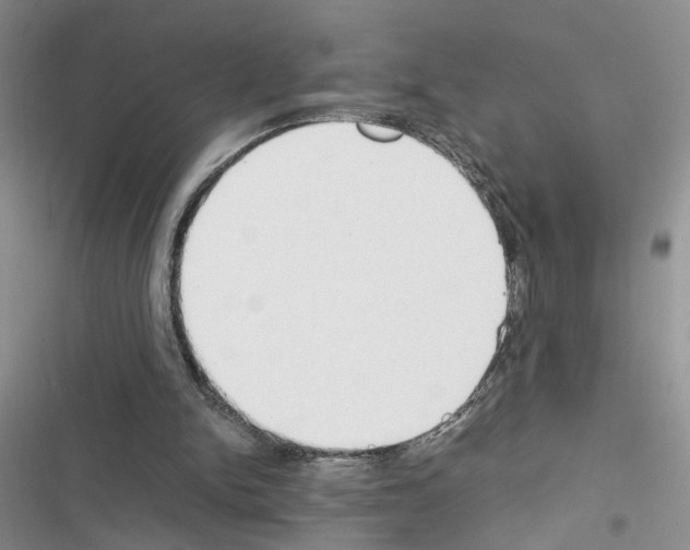 X0000116620150201001221347