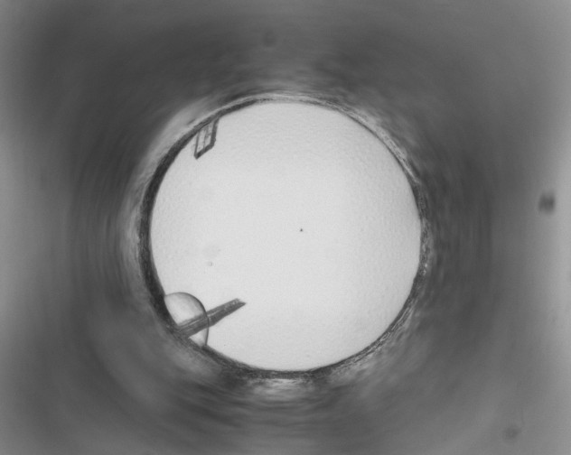 X0000116620151201001221347