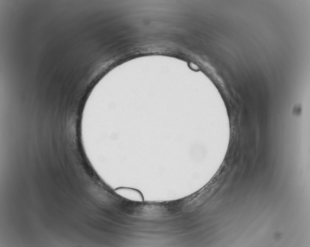 X0000116620154201001221347