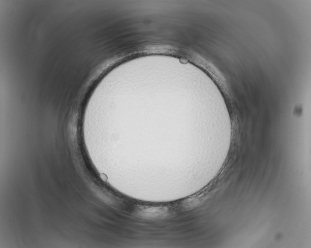X0000116620155201001221347