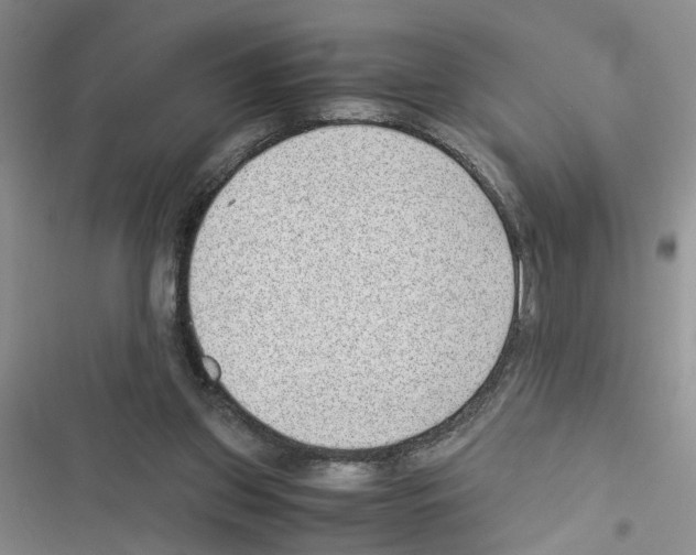X0000116620157201001221347