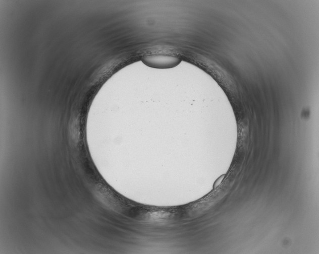 X0000116620158201001221347
