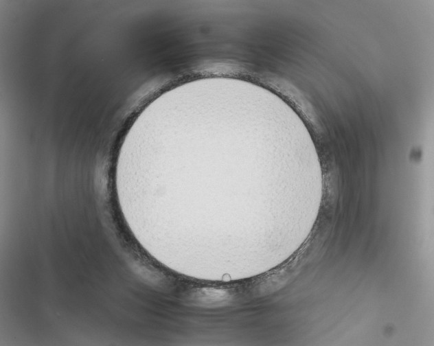 X0000116620159201001221347