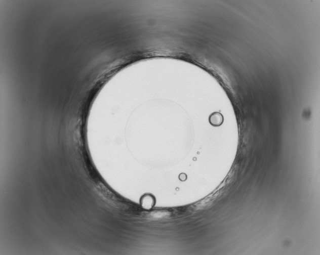 X0000116620162201001221347