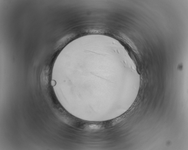X0000116620163201001221347