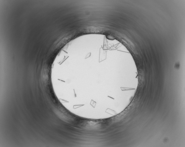 X0000116620166201001221347