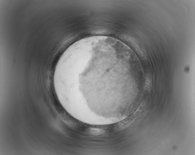 X0000116620167201001221347