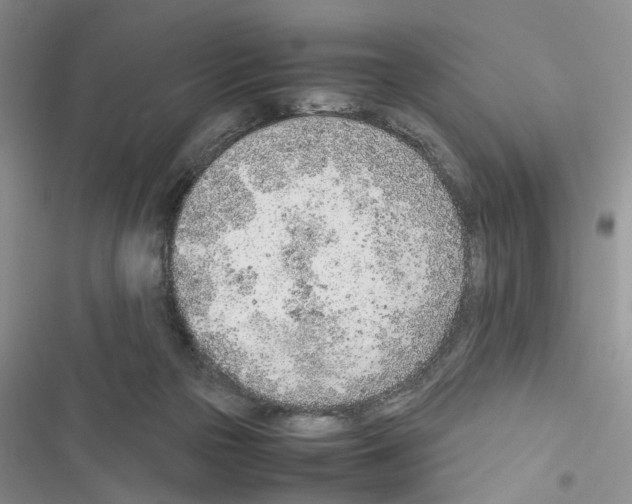 X0000116620169201001221347