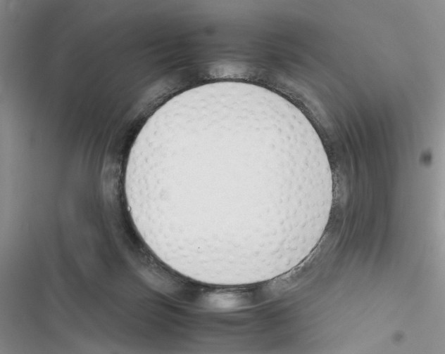 X0000116620171201001221347
