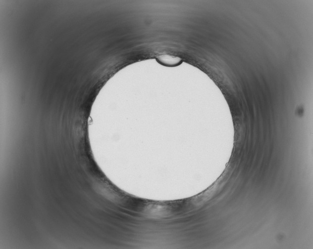 X0000116620174201001221347