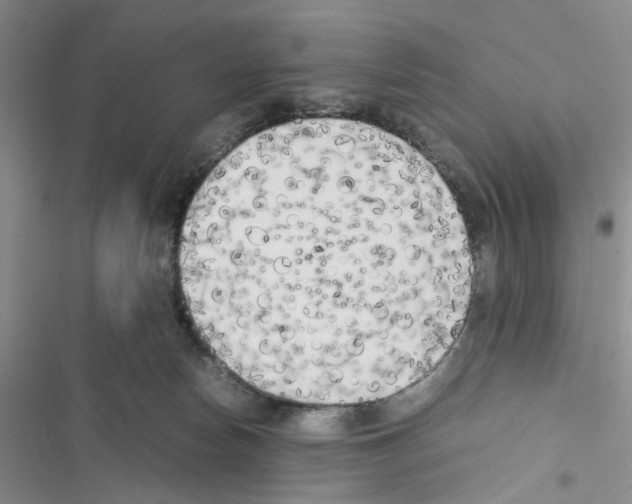 X0000116620178201001221347