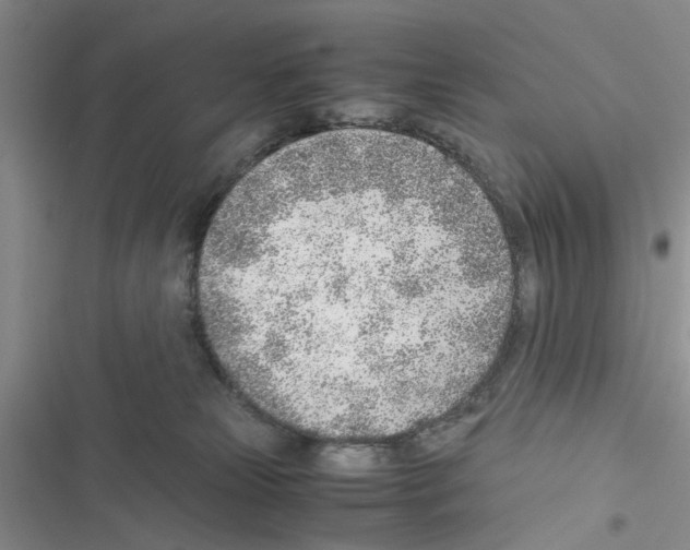 X0000116620181201001221347