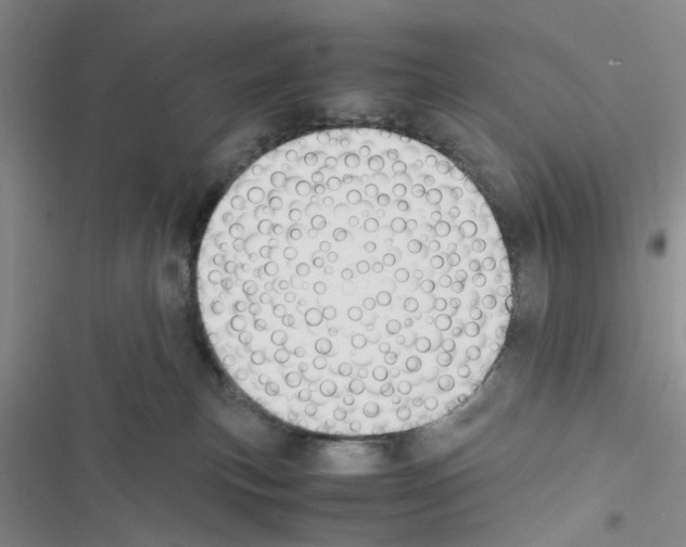 X0000116620183201001221347