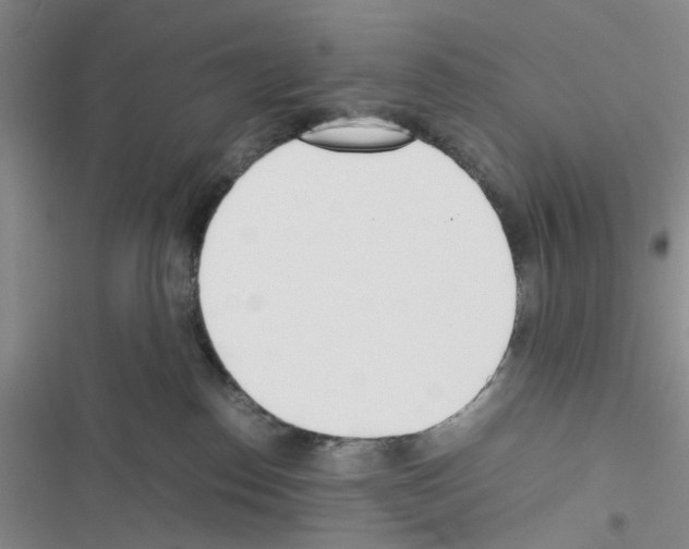 X0000116620186201001221347