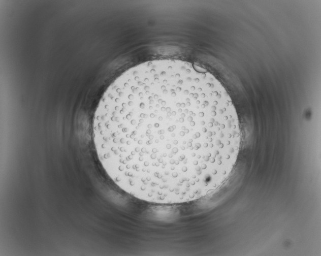 X0000116620187201001221347