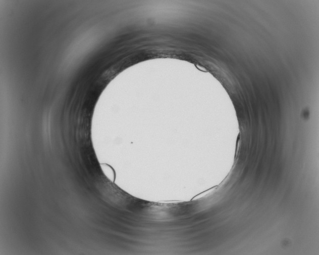 X0000116620190201001221347