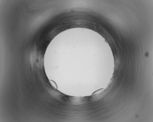 X0000116620191201001221347