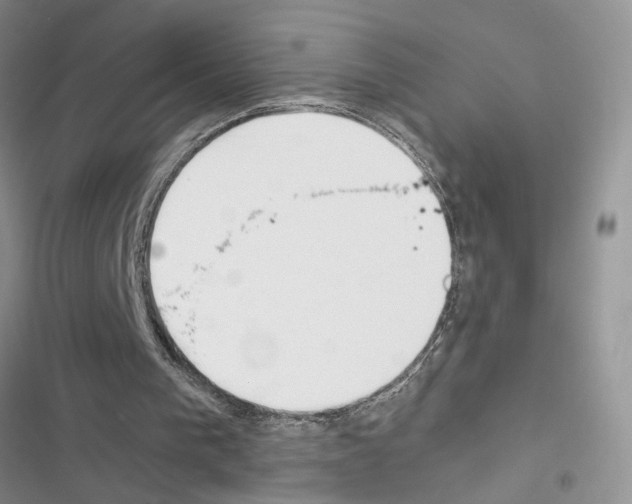 X0000116620193201001221347