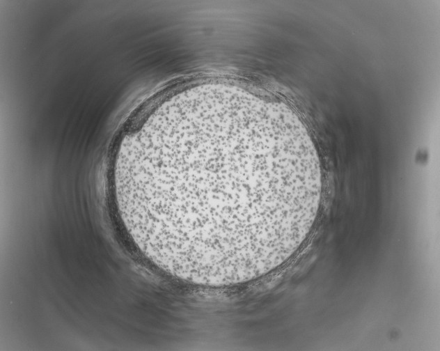 X0000116620194201001221347