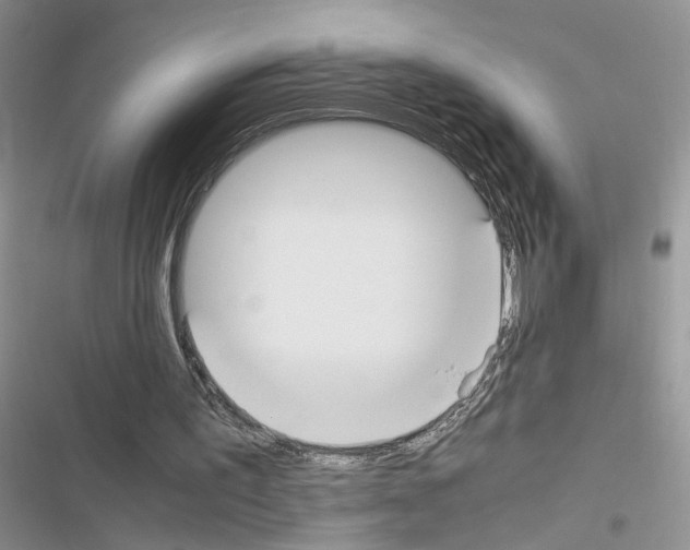 X0000116620195201001221347