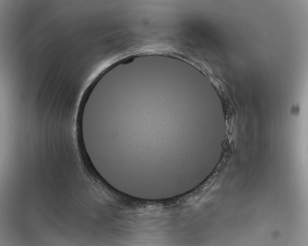 X0000116620196201001221347
