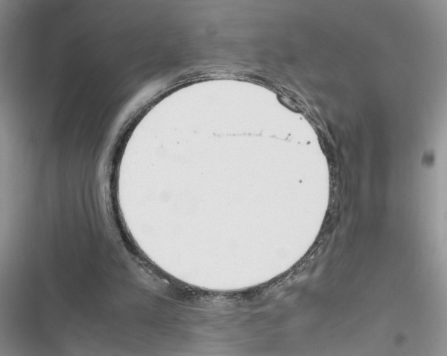 X0000116620197201001221347