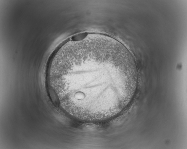 X0000116620199201001221347