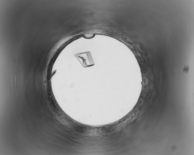 X0000116620200201001221347