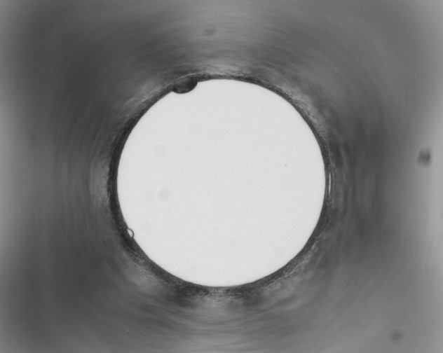 X0000116620201201001221347