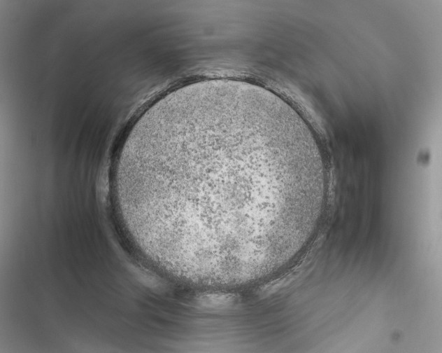 X0000116620202201001221347