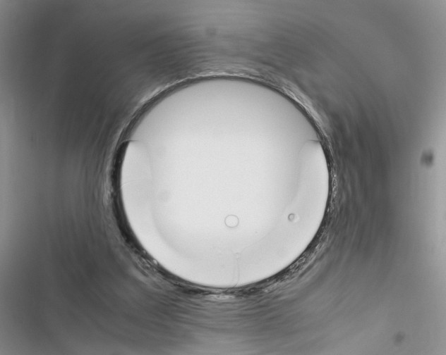 X0000116620203201001221347