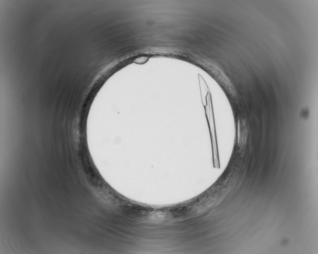 X0000116620204201001221347