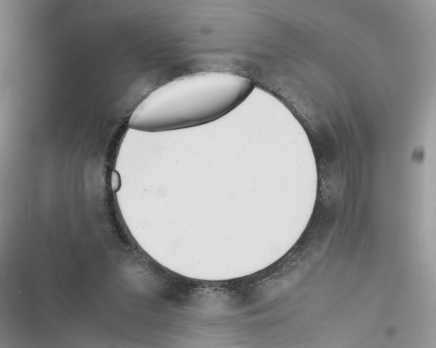 X0000116620207201001221347