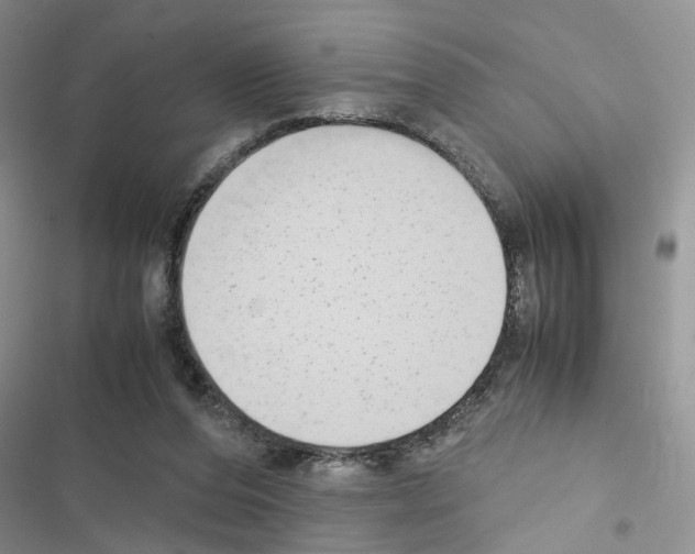 X0000116620208201001221347