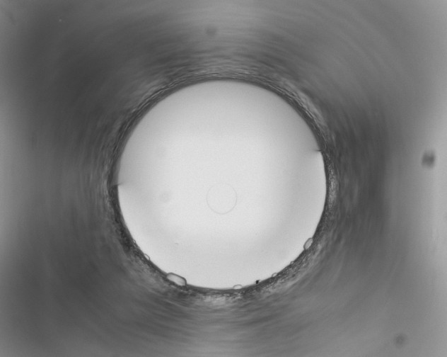 X0000116620209201001221347