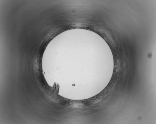X0000116620210201001221347