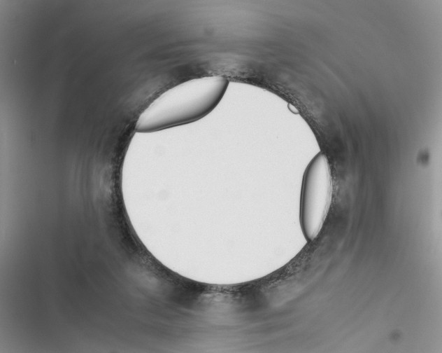 X0000116620211201001221347