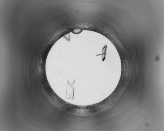 X0000116620212201001221346