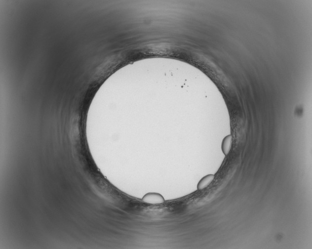 X0000116620213201001221346