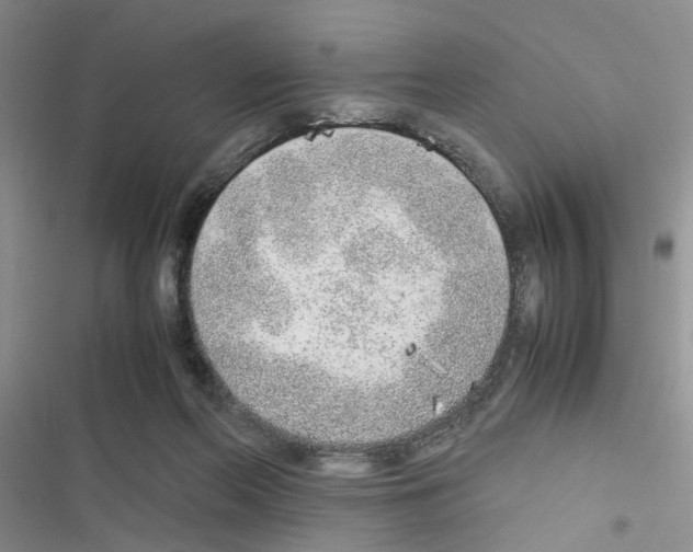 X0000116620214201001221346