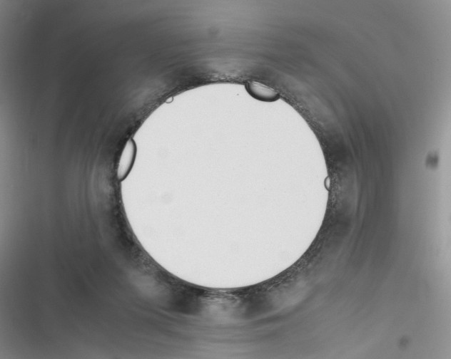 X0000116620215201001221346