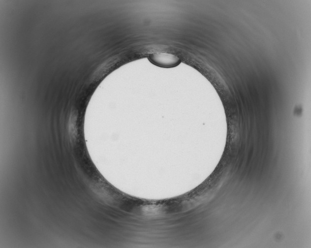 X0000116620216201001221346